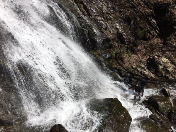 Водонепроницаемые носки Dexshell Thermlite черный/оранжевый XL (47-49) (Без упаковки. В зип пакете.)