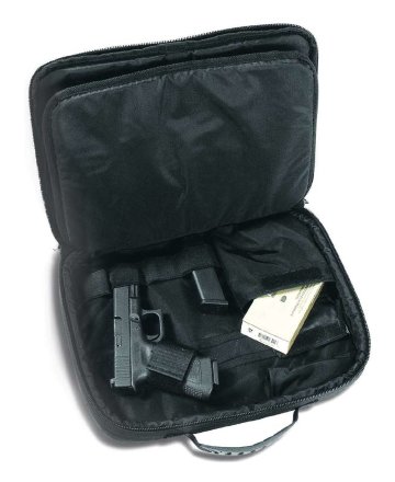 Сумка Tasmanian Tiger Pistol Bag 1, 7752.040