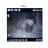 Монокуляр ночного видения Veber DigiView NM-02 цифровой