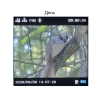 Монокуляр ночного видения Veber DigiView NM-02 цифровой