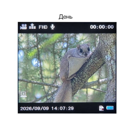Монокуляр ночного видения Veber DigiView NM-02 цифровой