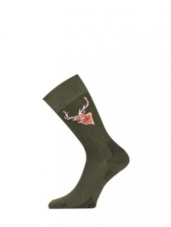 Носки Lasting  LFSJ 620, cotton+polyamide, зеленый с рисунком