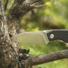 Нож складной Ruike P746-CB черный