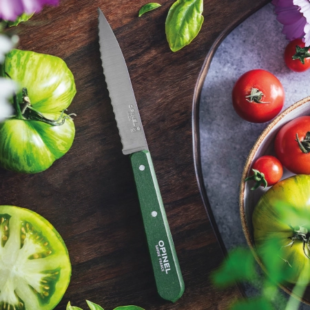 Нож столовый Opinel №113, деревянная рукоять, блистер, нержавеющая сталь, темно-зеленый 003122