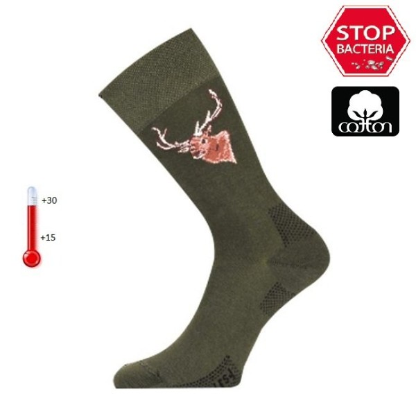 Носки Lasting  LFSJ 620, cotton+polyamide, зеленый с рисунком