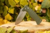 Нож складной Ganzo G720-GR зеленый