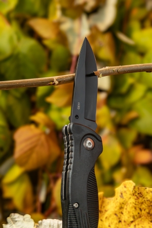 Нож складной Ganzo G611-BK черный