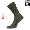 Носки Lasting  CXJ 620, cotton+polyamide, зеленый с рисунком