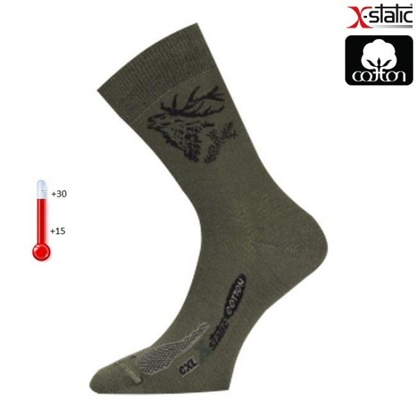 Носки Lasting  CXJ 620, cotton+polyamide, зеленый с рисунком