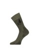 Носки Lasting  LFSL 620, cotton+polyamide, зеленый с рисунком