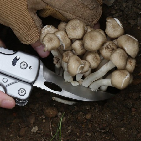 Набор сменных лезвий Roxon, BA050607