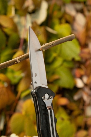 Нож складной Ganzo G616-BK черный