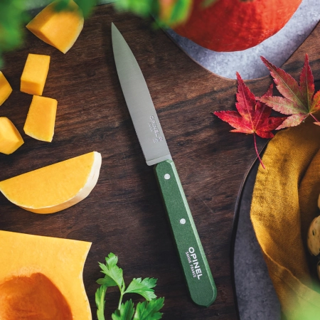 Нож столовый Opinel №112, деревянная рукоять, блистер, нержавеющая сталь, темно-зеленый 003118