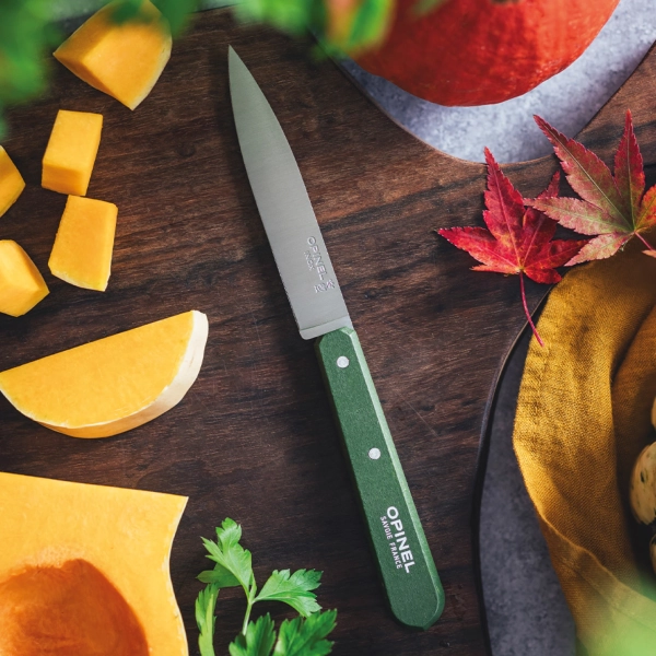 Нож столовый Opinel №112, деревянная рукоять, блистер, нержавеющая сталь, темно-зеленый 003118