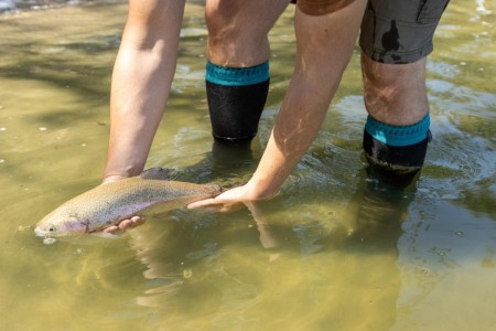 Водонепроницаемые носки Dexshell Wading черный/зеленый