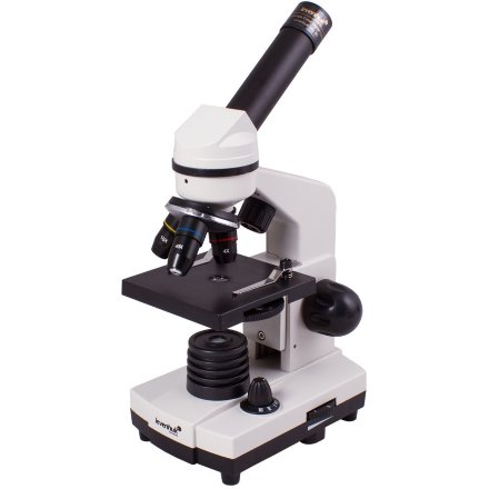 Микроскоп Levenhuk Rainbow D2L 0,3 Мпикс Лунный камень, 69040