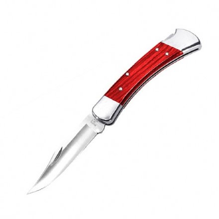 Нож Buck Folding Hunter, B0110CWSR