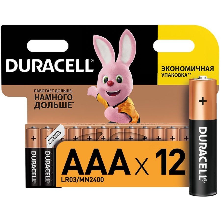 Батарея Duracell Basic LR03-12BL MN2400 AAA (12шт/блистер)