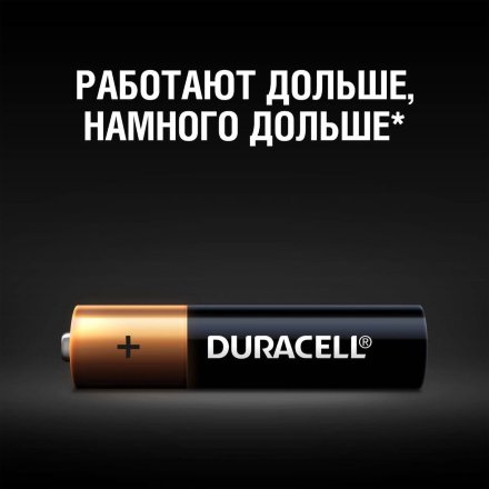 Батарея Duracell Basic LR03-12BL MN2400 AAA (12шт/блистер), 632939